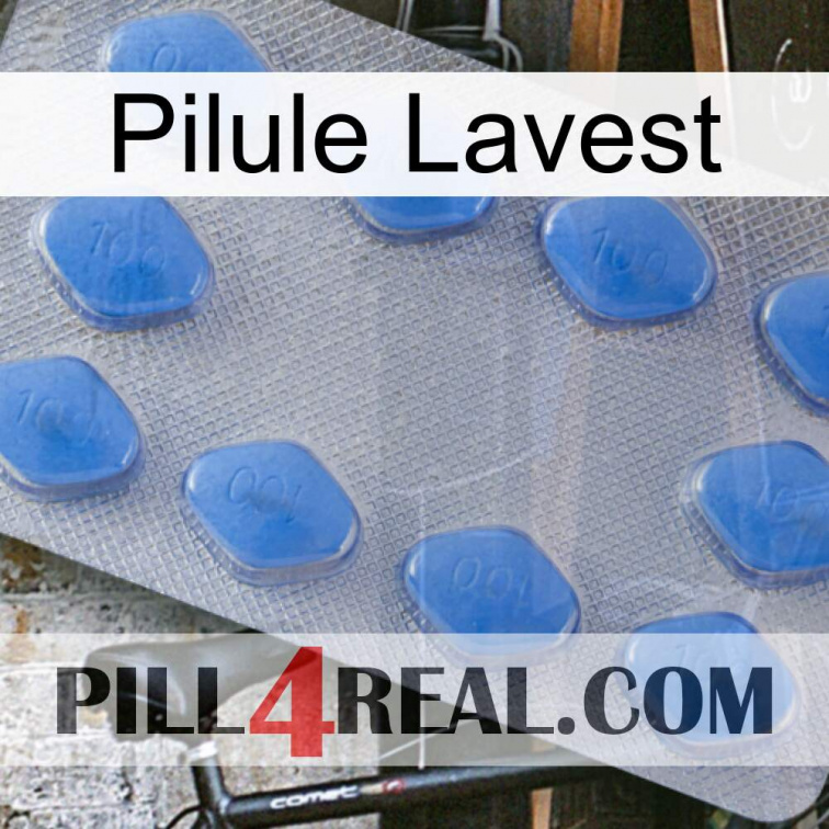 Lavest Pill 21